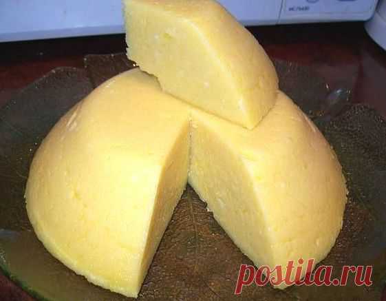 1389720920_syr-domashnij-recept.jpg (561×437)