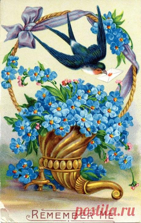 forget me not -- beautiful vintage image, with letter being delivered by the Bluebird of Happiness.... | Blomster billeder mm | Vintage images, For…