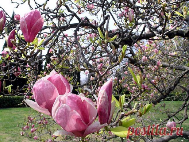 Весенний Крым