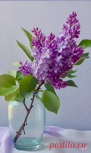 Пин на доске яСИРЕНЬ