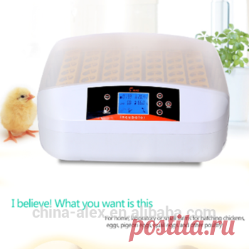 56 яйцо мини яйцо инкубатор /куриное яйцо инкубатор Цена с акционной цене - купить курицу Цена яйцо инкубатор,Яйцо куриное инкубатор,инкубатор цена товара на Alibaba.com