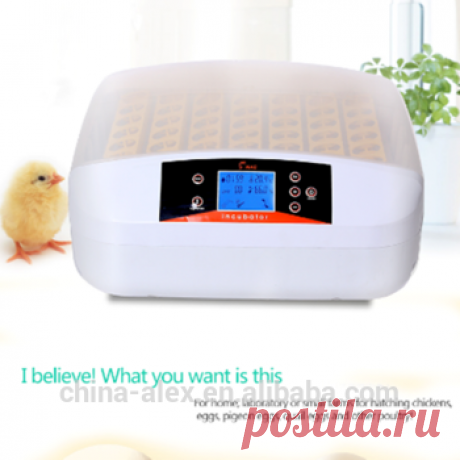56 яйцо мини яйцо инкубатор /куриное яйцо инкубатор Цена с акционной цене - купить курицу Цена яйцо инкубатор,Яйцо куриное инкубатор,инкубатор цена товара на Alibaba.com