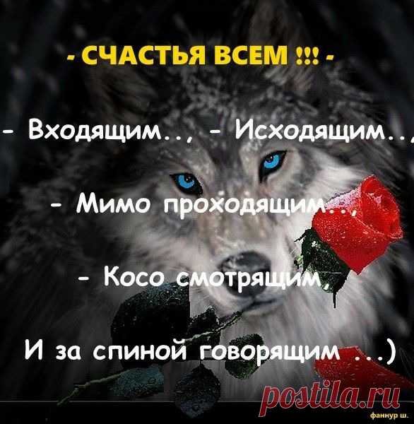 Без заголовка – 