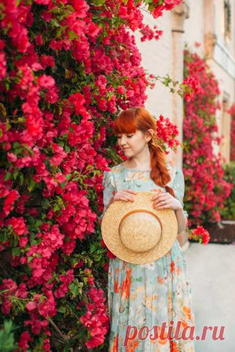 Blossom Hunting