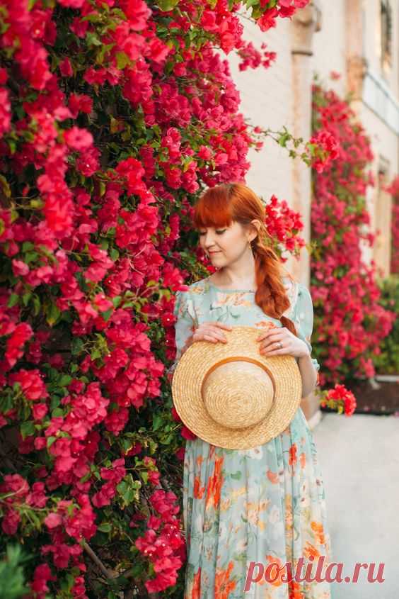 Blossom Hunting
