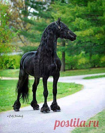 В ожидании...