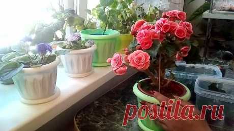 VID_20180906_093149.mp4