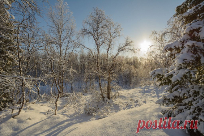 ФОТОМАСТЕРСКАЯ ПРИРОДЫ
Олег Кулябин
