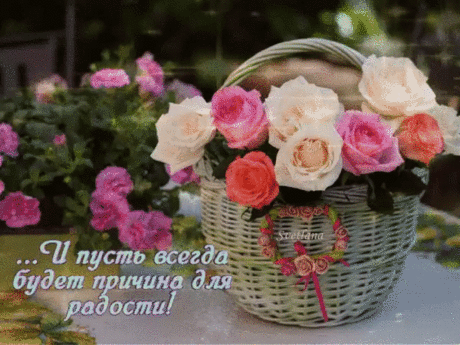 хх