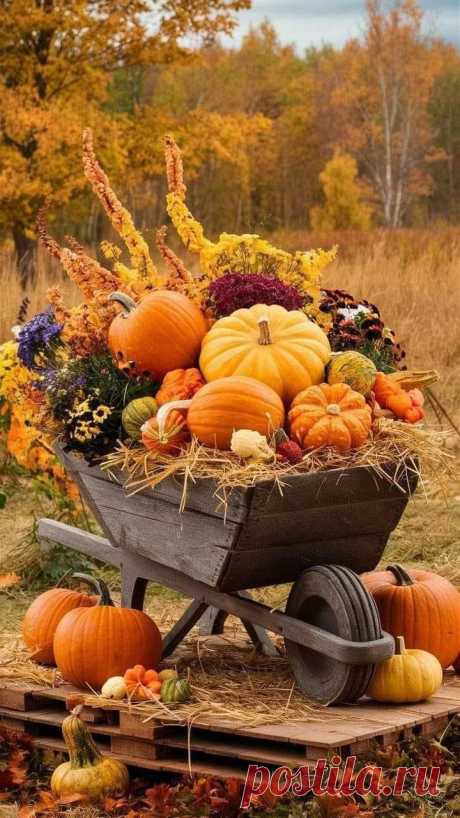 Пин на доске Fall Displays and Dunn