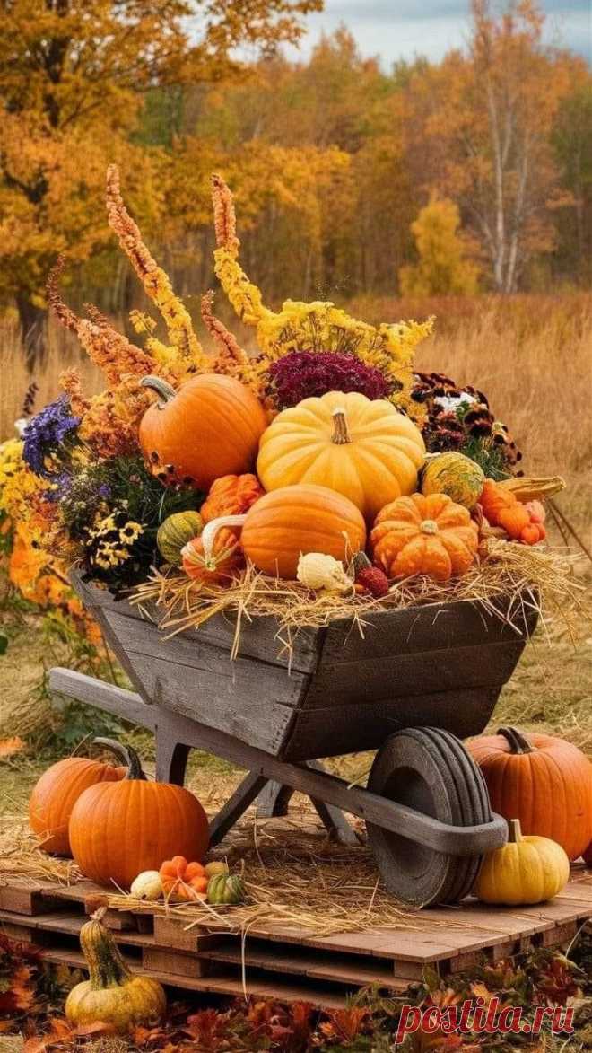 Пин на доске Fall Displays and Dunn