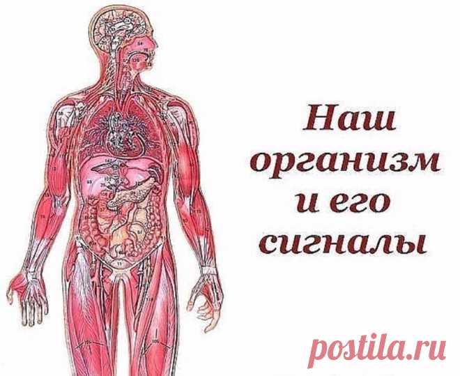 (1) Одноклассники
