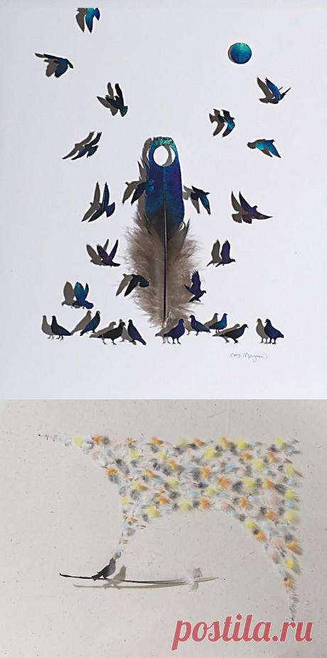 Арт-объекты из птичьих перьев .