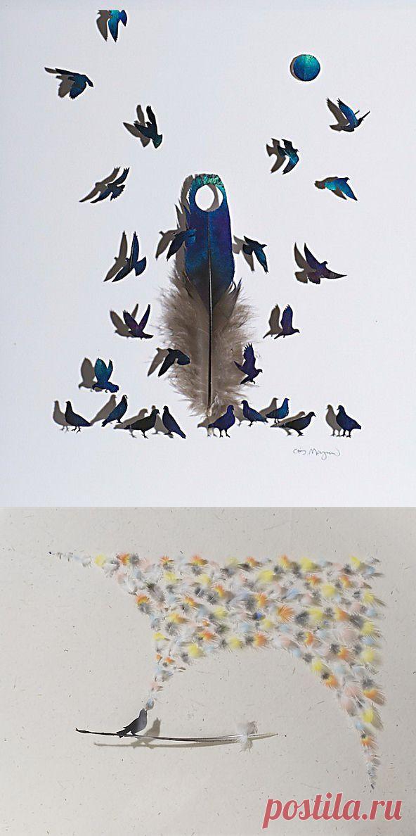 Арт-объекты из птичьих перьев .