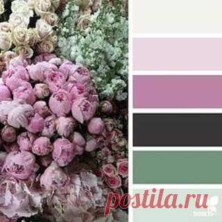 Photo by Ирина Соколова on June 18, 2021. May be an image of rose.
