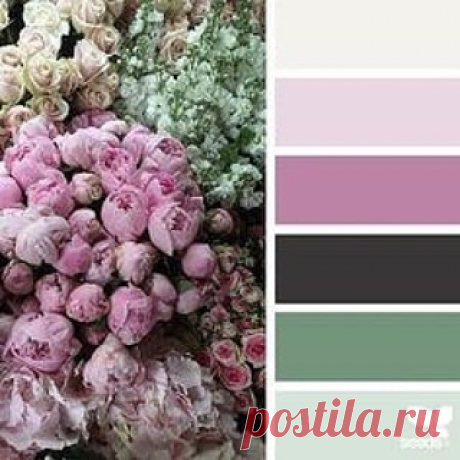 Photo by Ирина Соколова on June 18, 2021. May be an image of rose.