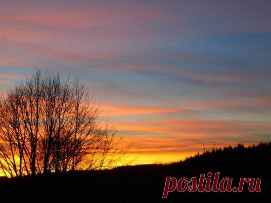 Хотите научиться зарабатывать в интернете без обмана,без вложений и продаж!!!Риска нет!Не отрываясь от семьи и домашних дел!!!Онлайн обучение-Бесплатно!!!Поддержка и помощь лидеров!Не нужно спец.образование!У кого появилось желание узнать больше,смотрите ссылку и пишите в личку,будем делать регистрацию!