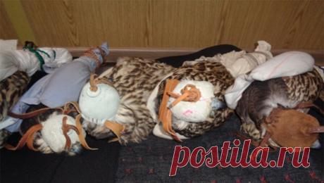 Краснокнижных кречетов стоимостью 11 млн рублей пытались вывезти из России в ОАЭ. В Алтайском крае предъявлены обвинения жителю Москвы и иностранному гражданину по делу о контрабанде пяти краснокнижных кречетов, птиц планировали продать в ОАЭ. Об этом сообщает пресс-служба СУ СК РФ по республике Алтай. По данным ...