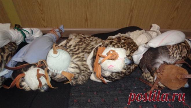 Краснокнижных кречетов стоимостью 11 млн рублей пытались вывезти из России в ОАЭ. В Алтайском крае предъявлены обвинения жителю Москвы и иностранному гражданину по делу о контрабанде пяти краснокнижных кречетов, птиц планировали продать в ОАЭ. Об этом сообщает пресс-служба СУ СК РФ по республике Алтай. По данным ...