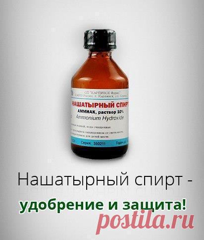 Женский клуб "Каблучок" | ВКонтакте