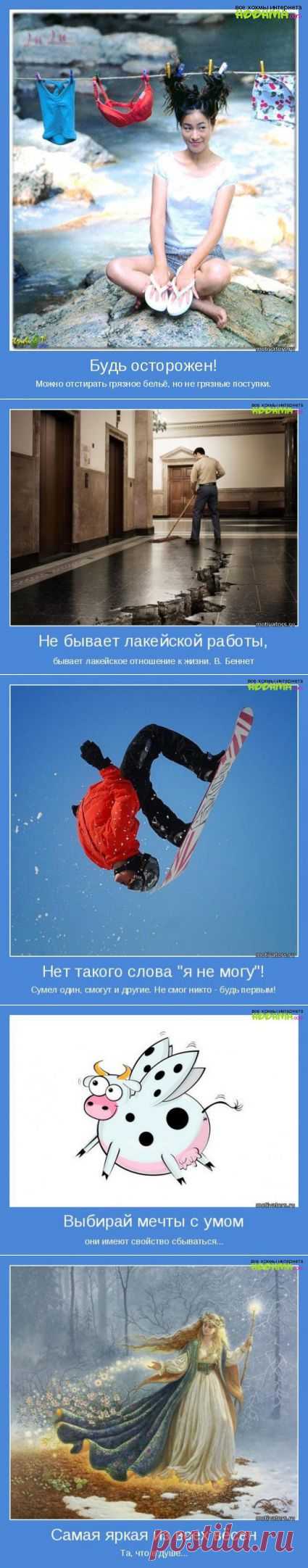 Выбор мечты