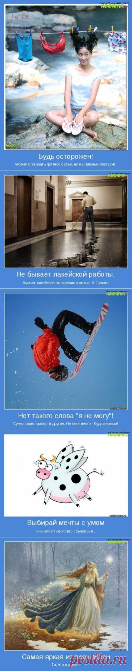 Выбор мечты