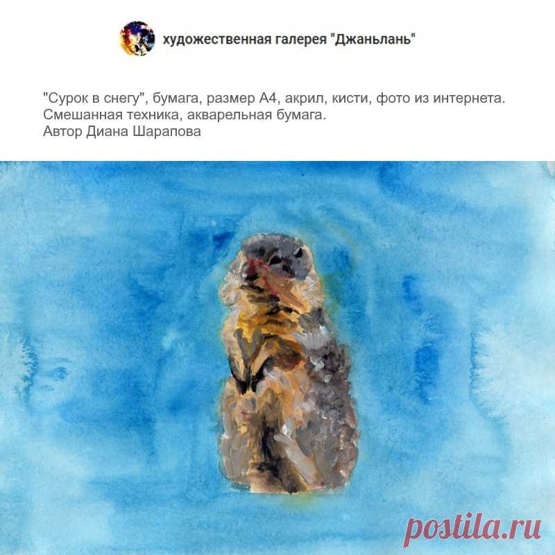 сурок в снегу