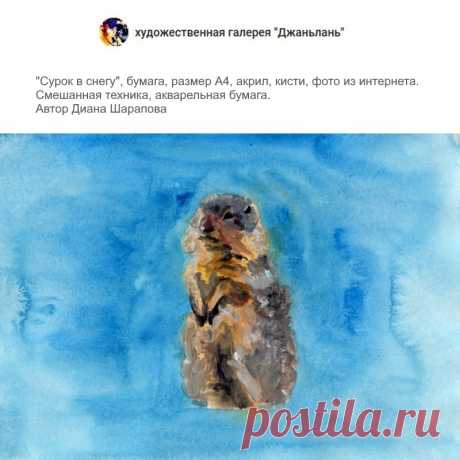 сурок в снегу