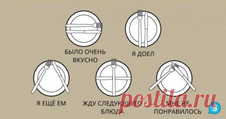 19 правил этикета, не знать которые просто стыдно!