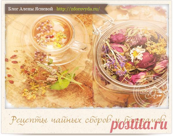 Рецепты вкусного чая с травами и ягодами
