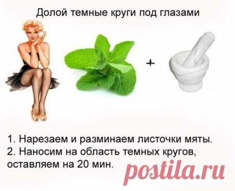 https://adriana.mlmshkola.ecommtools.com/item/6