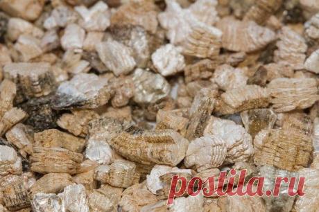 Что такое вермикулит и как его правильно использовать Применив вермикулит всего один раз, многие дачники больше не могут от него отказаться, ищут новые способы применения и получают отличные результаты. В чем же секрет этого невзрачного материала?
Вермик...