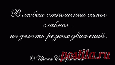 Жизненные фразы Ирины Стефашиной ч. 10 | Поэт Ирина Стефашина | Яндекс Дзен
