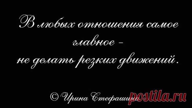 Жизненные фразы Ирины Стефашиной ч. 10 | Поэт Ирина Стефашина | Яндекс Дзен