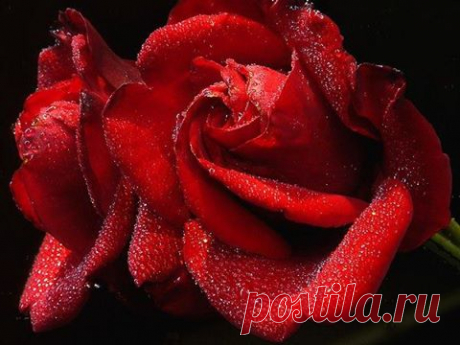 (1) Facebook