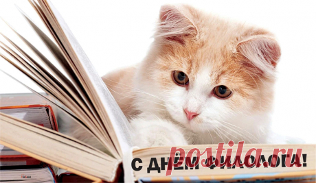 Ты филолог мудрый, умный,
Знаешь всё про ударенья.
И знакомых всех попутно
Привлекаешь к обученью.