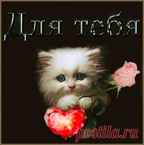 0_8107d_de9c84fa_orig (550×555)