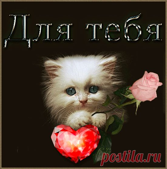 0_8107d_de9c84fa_orig (550×555)