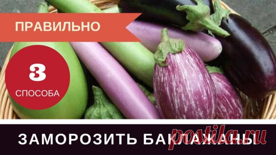 Заморозка баклажан на зиму дома Отличный проверенный способ - Яндекс.Видео