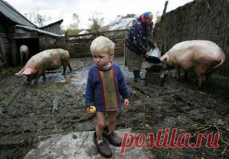 К бабушке в деревню, отвезли на лето... Даже не спросили, нафига мне это?!...