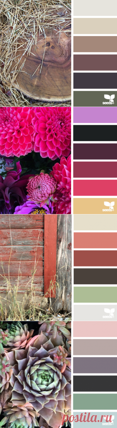 design seeds | for all who ♥ color