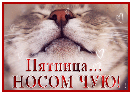 Больше всех мне нравится
На неделе пятница.
Я желаю в этот день
Отдохнуть, расслабиться.