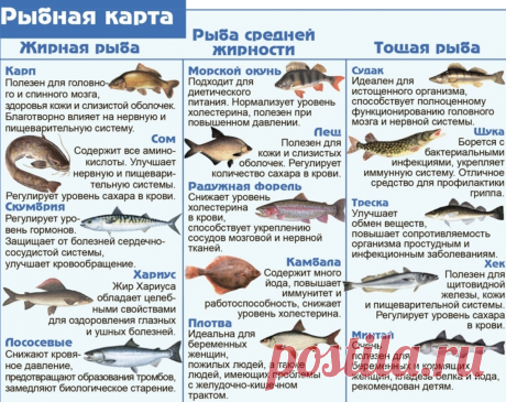 Покупайте рыбу с умом
