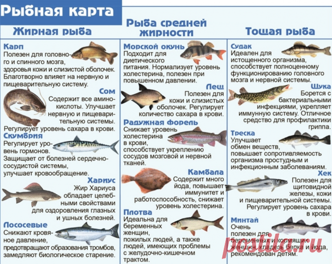 Покупайте рыбу с умом