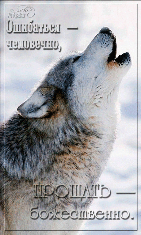 (1) Pinterest