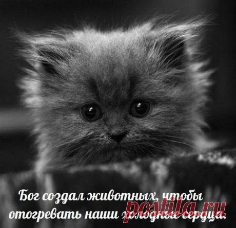 релакс смысл слова: 7 тыс изображений найдено в Яндекс.Картинках