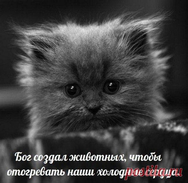 релакс смысл слова: 7 тыс изображений найдено в Яндекс.Картинках