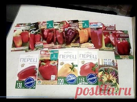ВЫБРАЛА СОРТА ПЕРЦА ДЛЯ ПОСАДКИ в 2020/Урожайные сорта сладкого перца