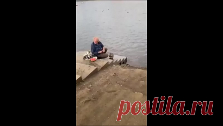 Когда у дедули появился новый друг. Вот это да...