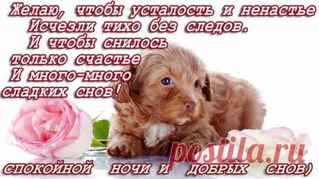 Подкралась тихо ночь и нежным одеялом
Укрыла с головой все неудачи дня
Спокойной ночи всем, а это так немало
Мы счастливы, когда, родные сладко спят.
Без тревог и горьких сожалений,
Лишь тому, кто дорог и любим,
Я желаю сладких сновидений,
Пусть мир отдохнет, пока мы спим.
Даже месяц в небе смежил веки,
И сопит на кухне серый кот,
Кажется, что мир уснул навеки,
Но все знают - новый день придет!
СЛАДКИХ ВАМ СНОВ!